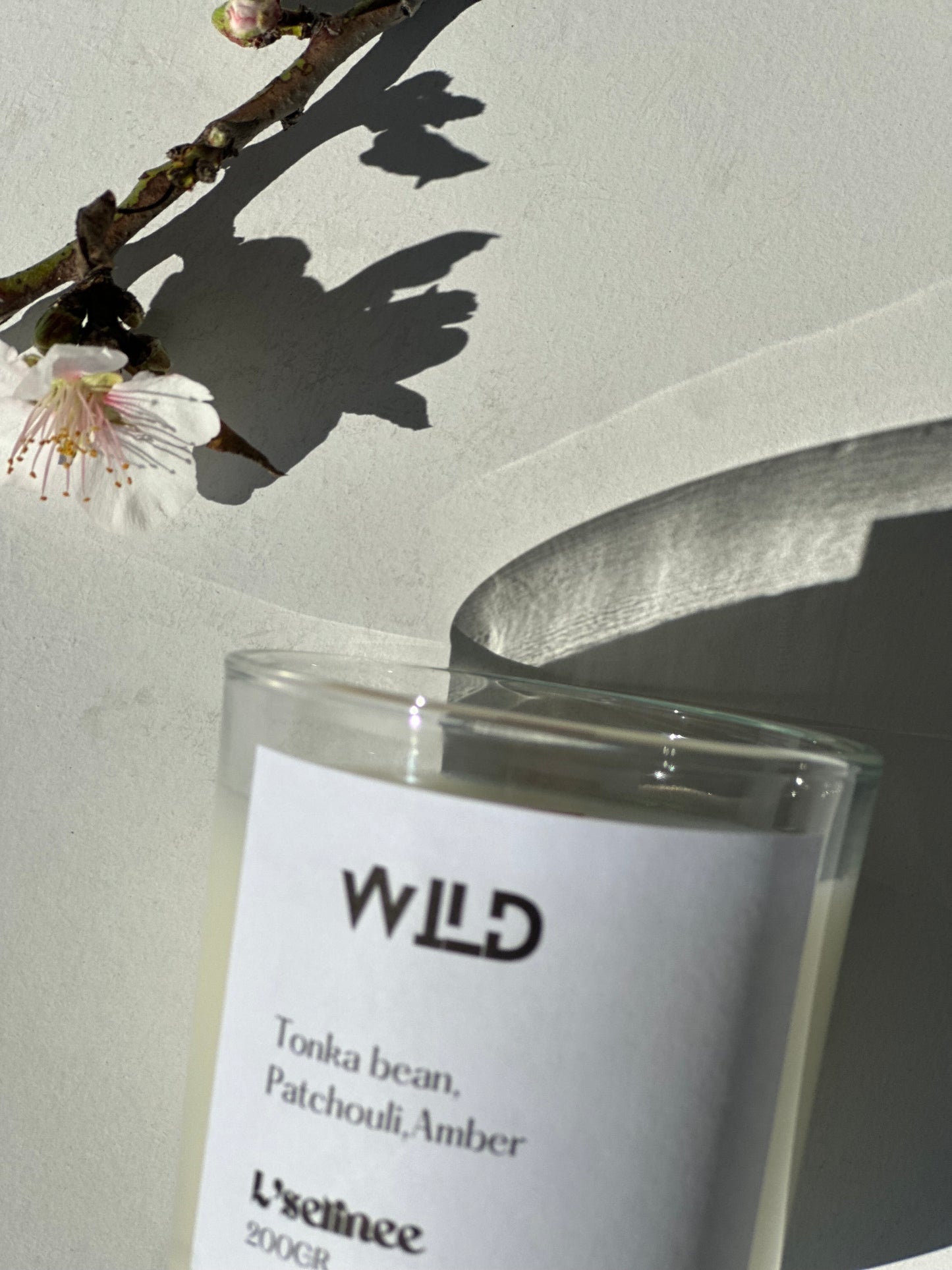 WILD Natural Soy Candle